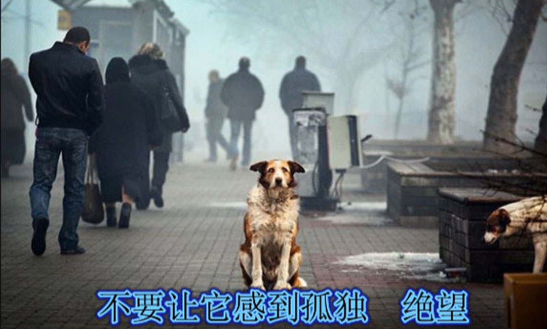 萍乡萍乡爱影圈微博微信转发案例